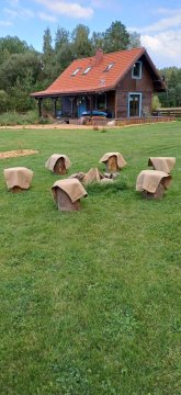 Rysia Polana Piasutno-Łęg Mazury