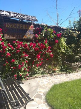 Kacperek w centrum Willowa 4A