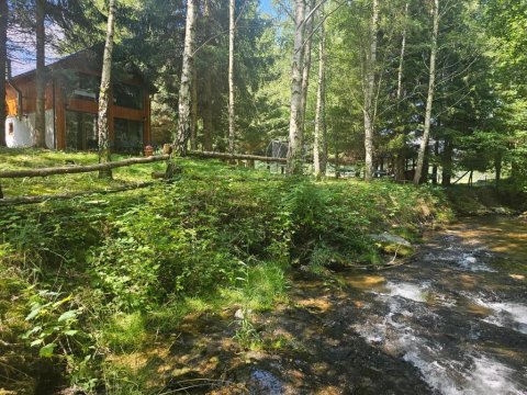 Nad Potokiem z Alpakami