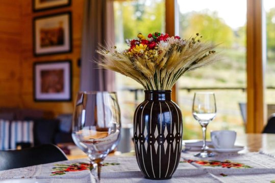 Góralski domek z bali SAŁAS