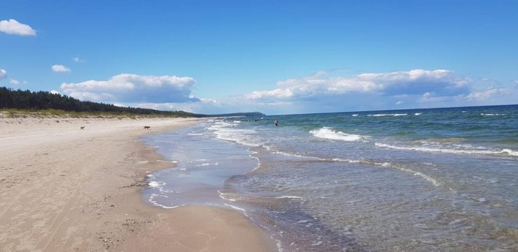 Apartament Bałtyk 8