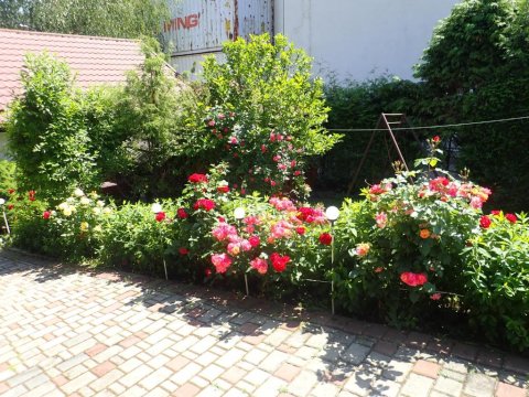 Pokoje Gościnne w Centrum