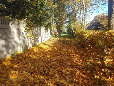 Dom z bali. Chata Michal.