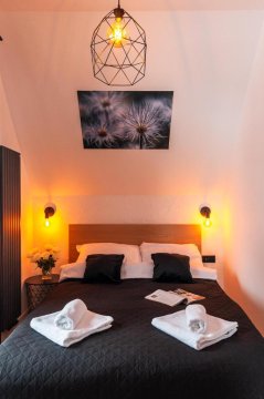 Apartament Z widokiem na las