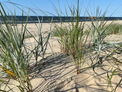 Apartament SunSet z klimatyzacją - całoroczny