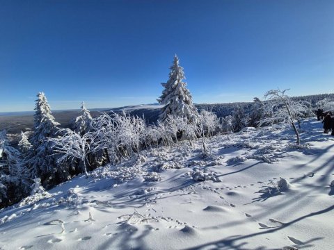Apartament Turkusowy Izerskie Góry
