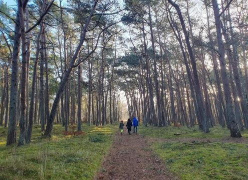 La casa de los Kasa apartament 1