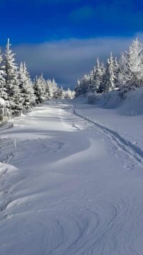 Szczyrkowskie Ski & Fun Widokowy 5