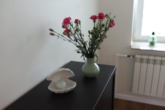 Apartament na poddaszu