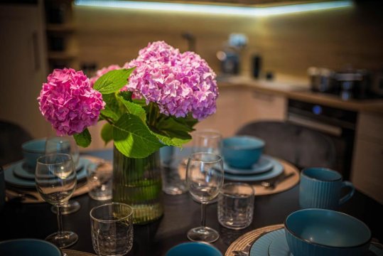 Apartament Vitis Rose