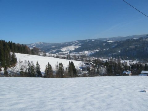widok z nad domu na dolinę Malinkę - Willa Leśny Kącik