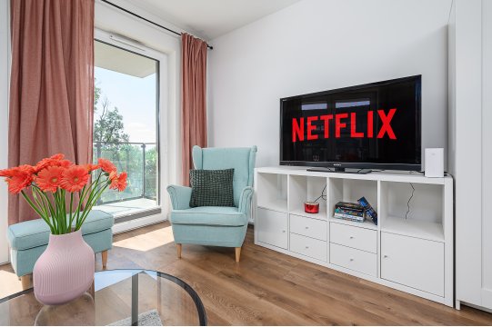 Luxury apart for family next to Księży Młyn