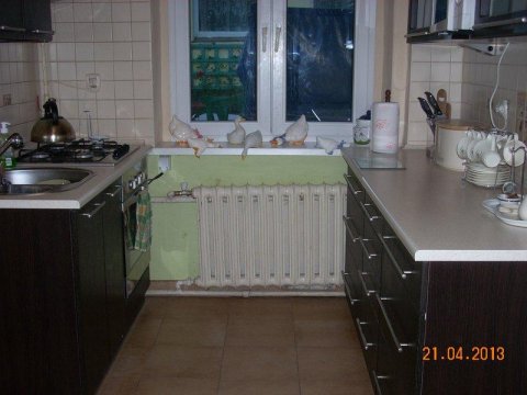 Kuchnia - Pokój / pokoje u Małgorzaty (Sopot)