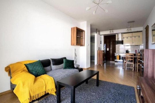 Golden Apartments Warsaw - Big and Bright Apartment in Platinum Towers - Grzyb61