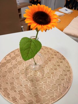 Apartament ,,KWIATEK" blisko centrum, stok i szlaki. Parking i ogródek. 