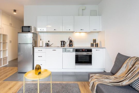 Golden Apartments Warsaw - Big and Bright Stylish Apartments  - Pereca 67