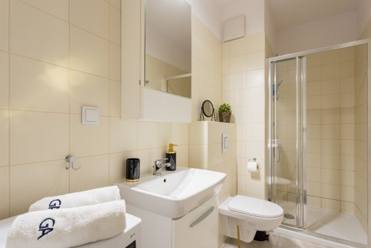 Golden Apartments Warsaw - Big and Bright Stylish Apartments  - Pereca 68