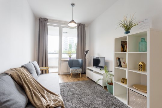 Golden Apartments Warsaw - Big and Bright Stylish Apartments  - Pereca 69