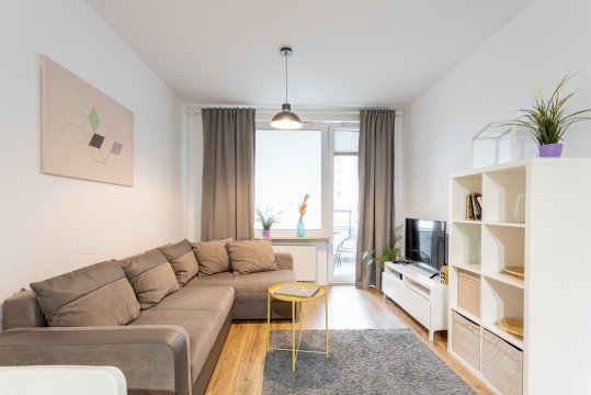Golden Apartments Warsaw - Big and Bright Stylish Apartments  - Pereca 75