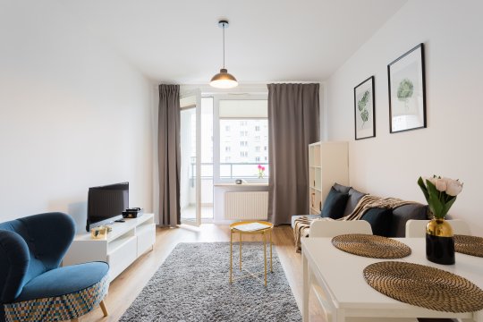 Golden Apartments Warsaw - Big and Bright Stylish Apartments  - Pereca 74