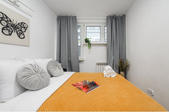 Lumina 3-room apart near the Royal Castle