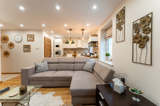 Złoty Jelonek - Stylowy Apartament  na  Rynku w Jeleniej Górze