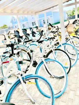 BALTIC FAMILY Premium