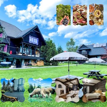 U Lawendowej Wiedźmy