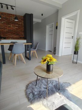 Apartament Miodowy