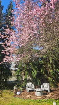 Apartamenty w Parku- Rydz Polanica Zdrój