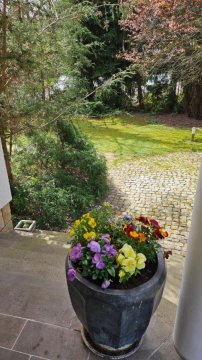 Apartamenty w Parku- Rydz Polanica Zdrój