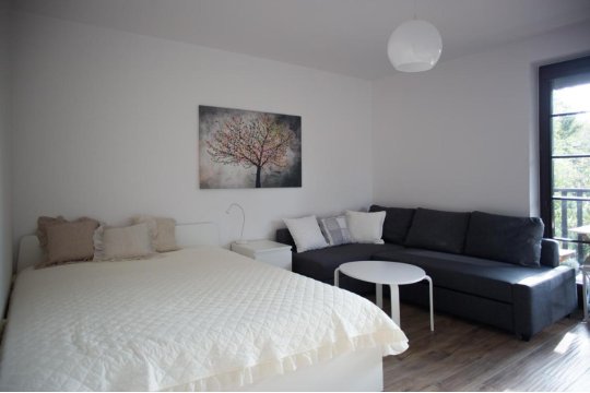 Apartament Kameralny