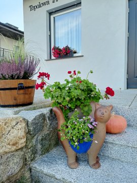 Apartamenty Jasieńczyk