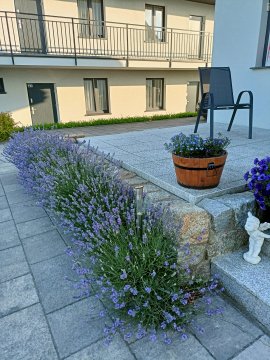 Apartamenty Jasieńczyk