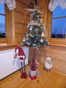 Dom Letnisowkowy Basiówka