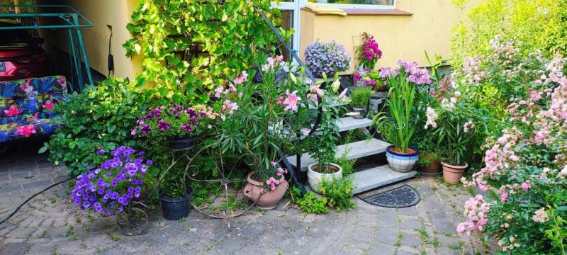 Słoneczne apartamenty