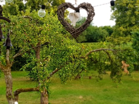 Komfortowe mieszkanie na wsi z tarasem niedaleko plaży i jezior