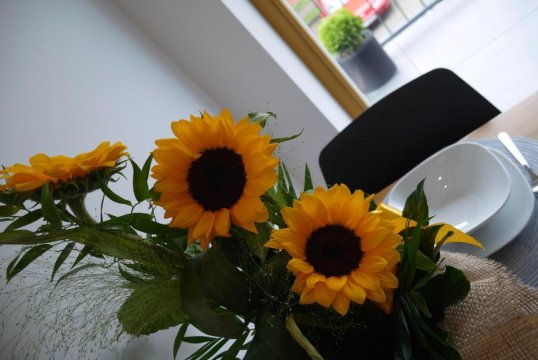 Nowy Apartament Zygmunta Premium