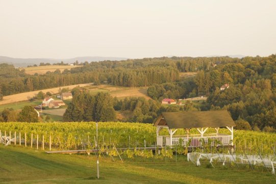 Sztukówka Winery