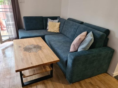 Apartament w sosnowym lesie