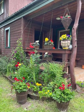 Dom na skraju Puszczy Białowieskiej