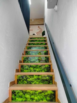 Noclegi i Restauracja Gracja