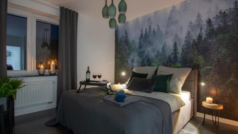 Apartamenty Cisza - Noclegi Ustrzyki Dolne Bieszczady noclegi - Sylwester