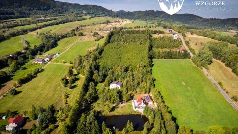 Agroturystyka Leszczynowe Wzgórze - Sylwester