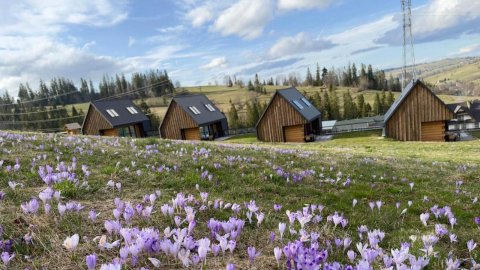 Bystre DOMKI - Sylwester