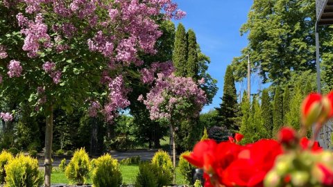 Apartamenty Arkadia przy Amfiteatrze - Sylwester