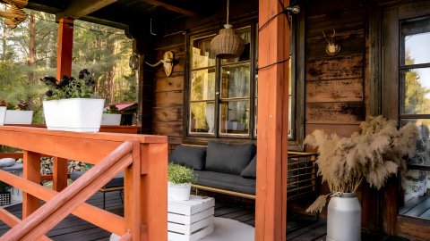 In The Woods - Sylwester