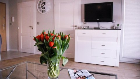APARTAMENT w CENTRUM-GARAŻ - Sylwester