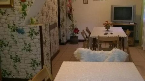 Agroturustyka Grazyna Ksel Korbielow ul slepa dolina 2 - Sylwester