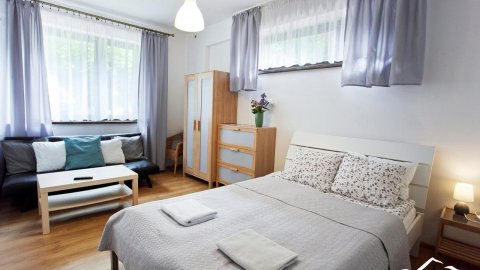 Zielone Wzgórze - Sylwester